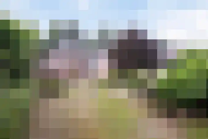 De Wouw 11 Gemert thumbnail 32