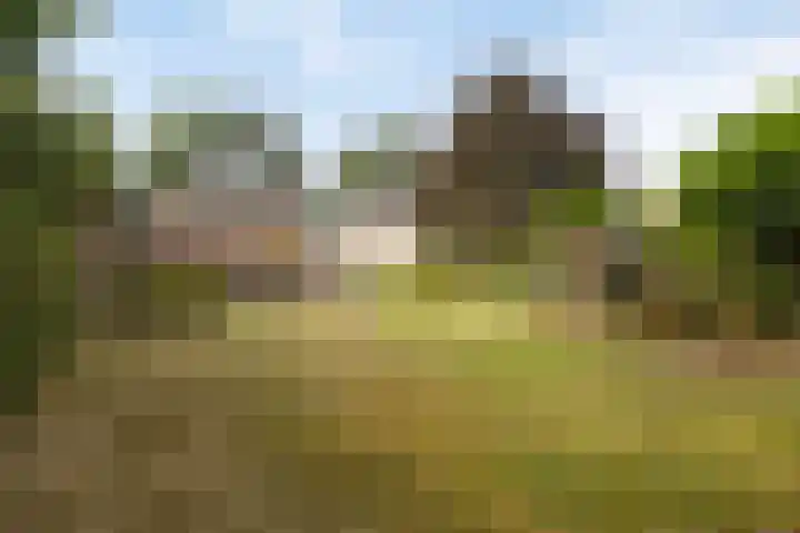 De Wouw 11 Gemert thumbnail 33