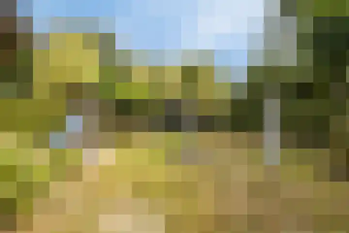 De Wouw 11 Gemert thumbnail 34