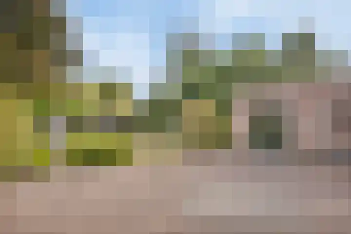 De Wouw 11 Gemert thumbnail 35