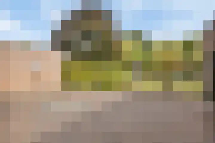De Wouw 11 Gemert thumbnail 36