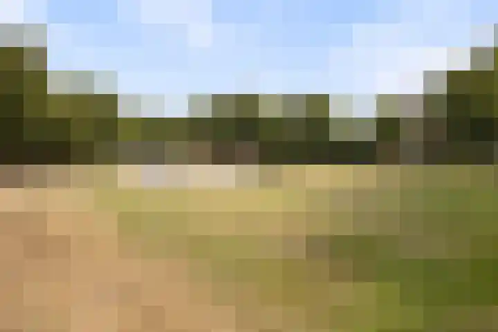 De Wouw 11 Gemert thumbnail 37