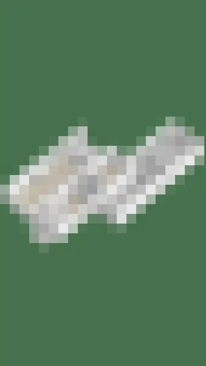 De Wouw 11 Gemert thumbnail 41