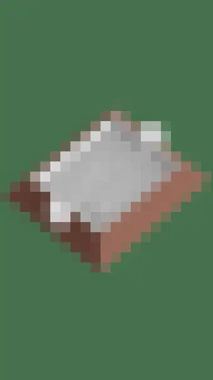 De Wouw 11 Gemert thumbnail 43