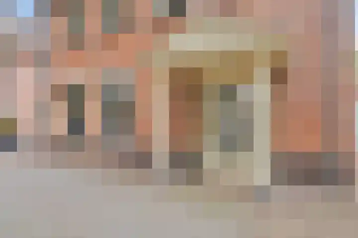 De Wouw 11 Gemert thumbnail 5