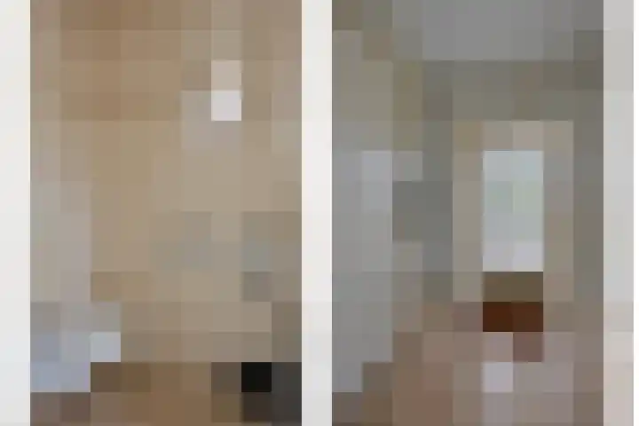 De Wouw 11 Gemert thumbnail 6