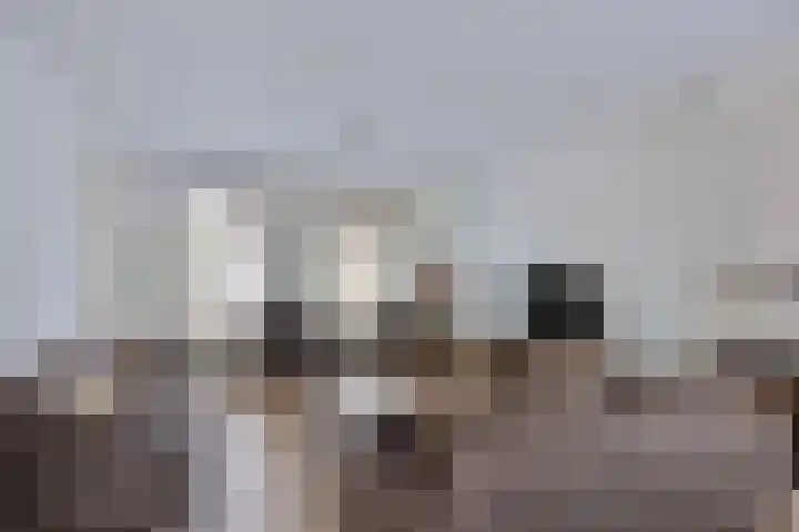 De Wouw 11 Gemert thumbnail 7