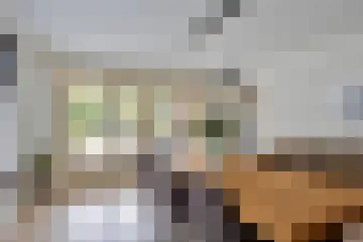 De Wouw 11 Gemert thumbnail 9