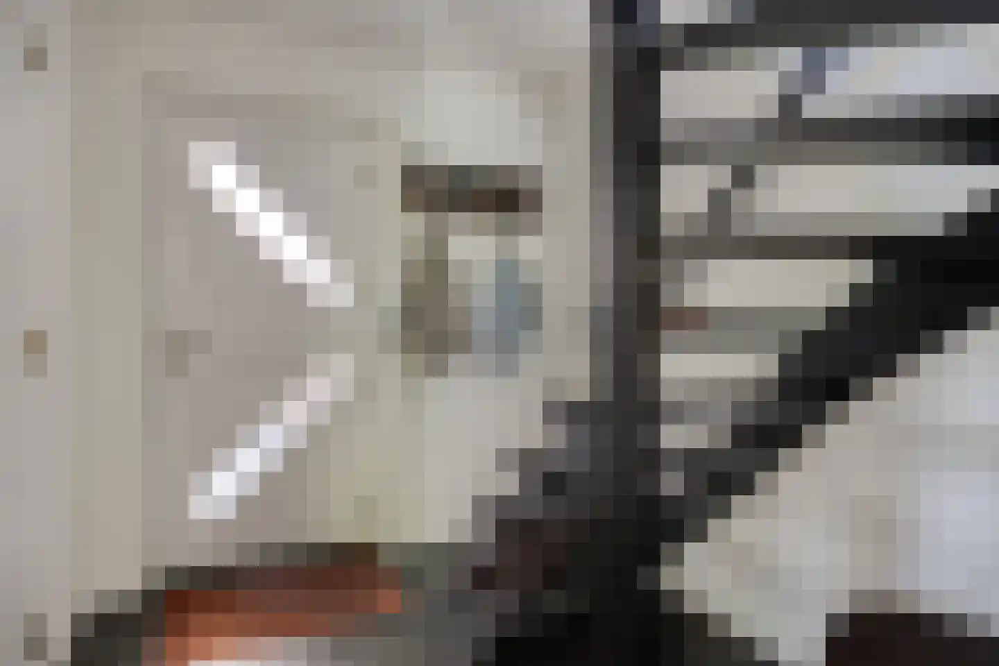 De Wouw 22 Gemert thumbnail 10