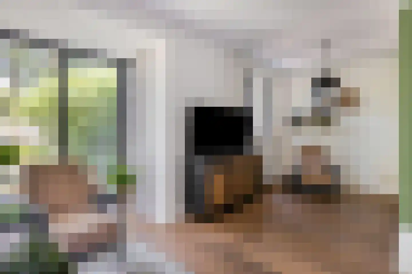 De Wouw 22 Gemert thumbnail 14