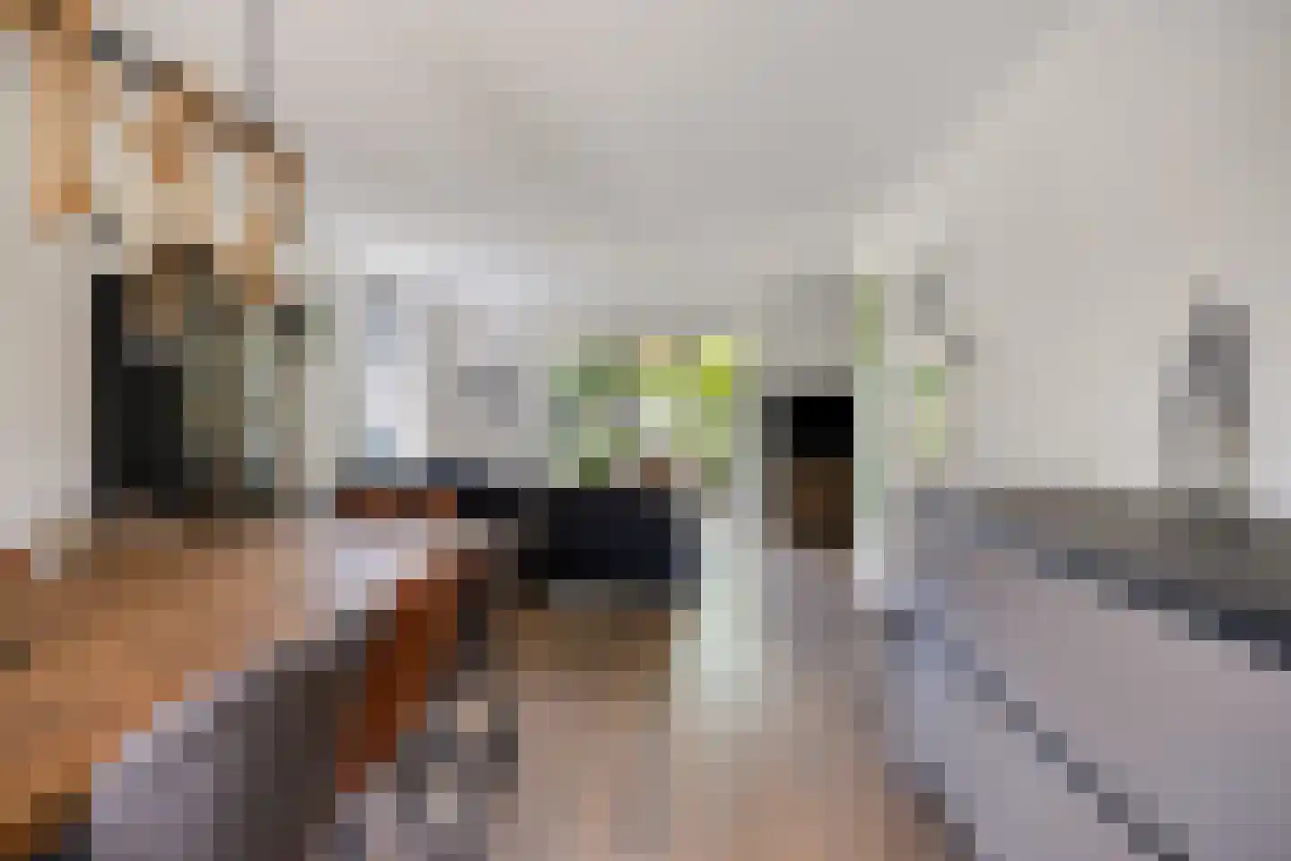 De Wouw 22 Gemert thumbnail 16
