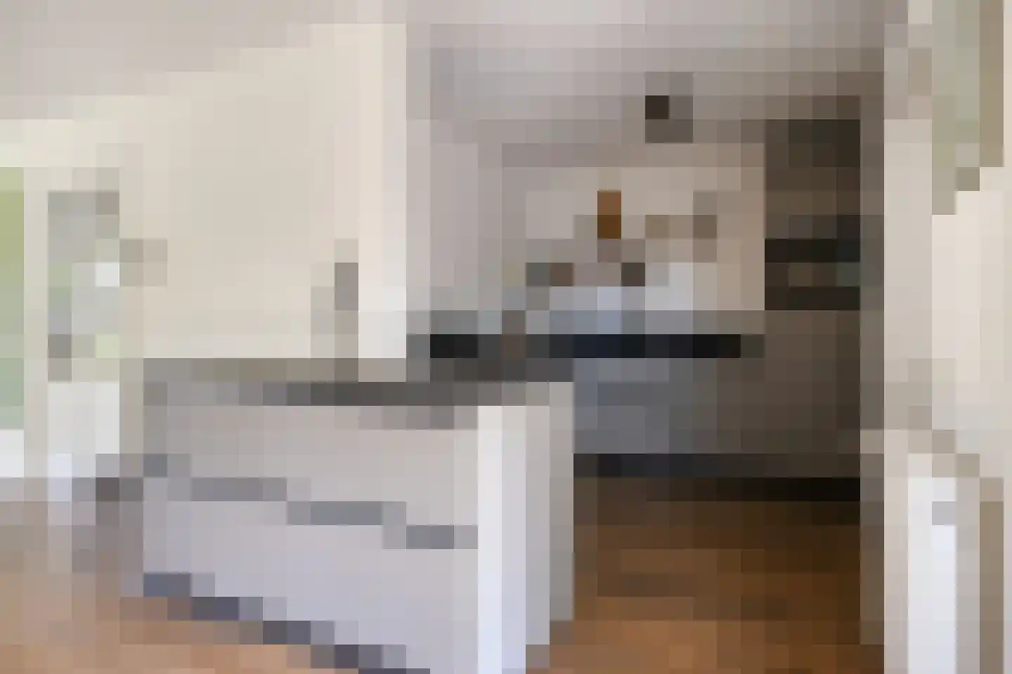 De Wouw 22 Gemert thumbnail 17