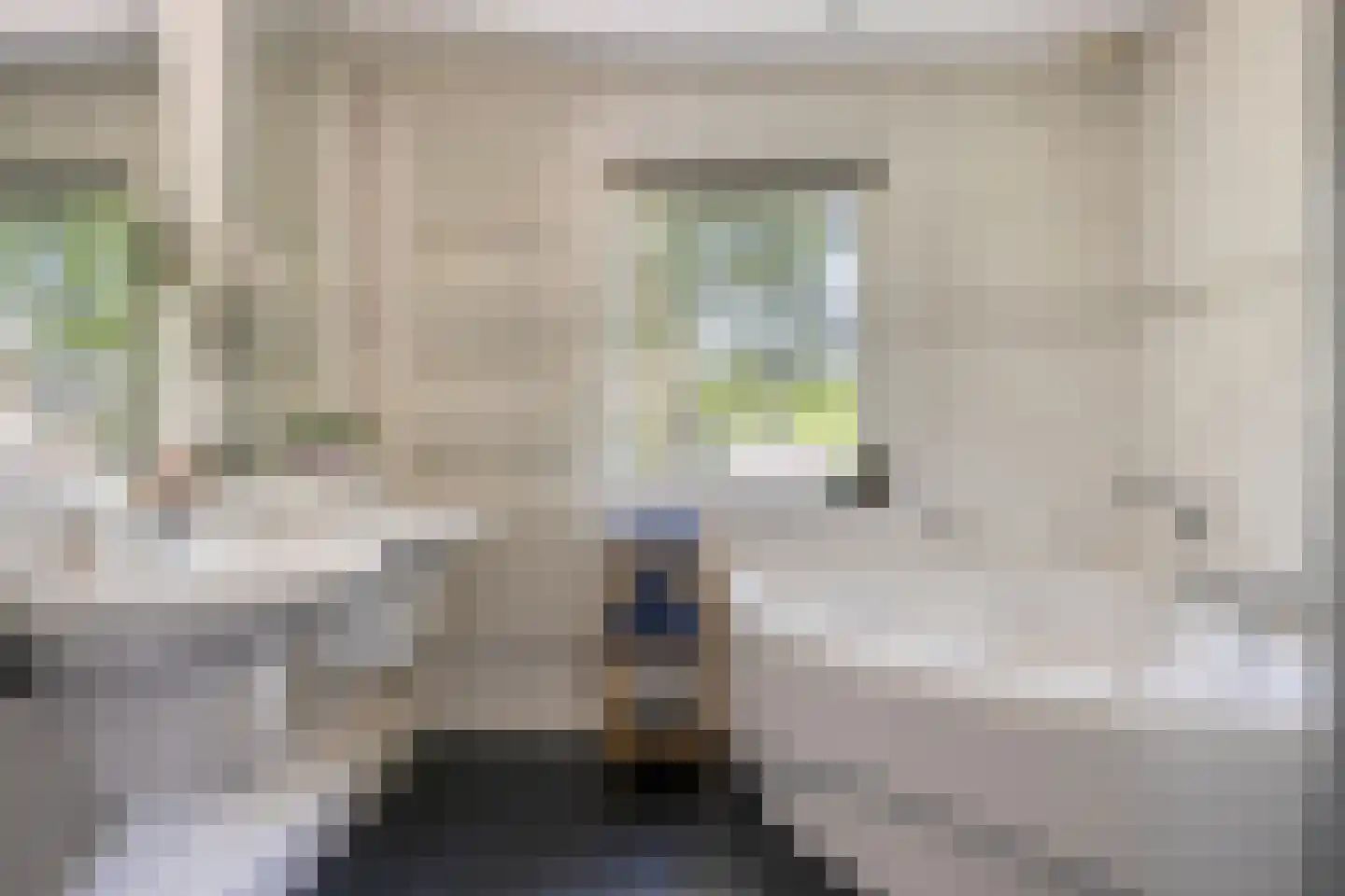 De Wouw 22 Gemert thumbnail 24