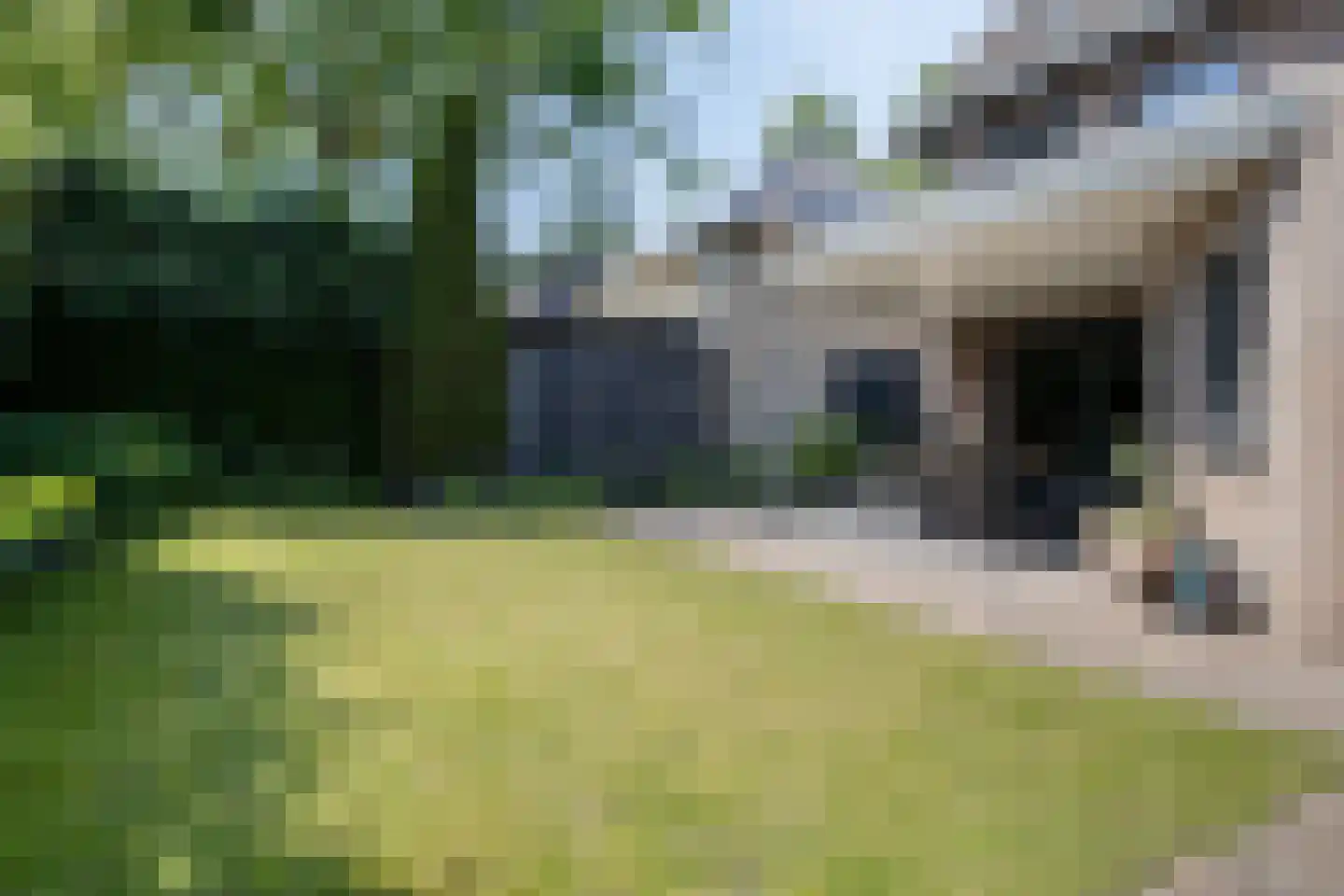 De Wouw 22 Gemert thumbnail 34