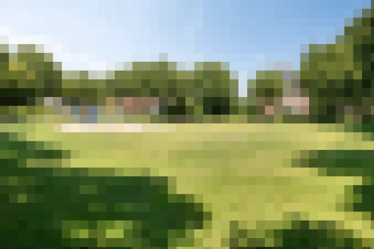 De Wouw 22 Gemert thumbnail 36