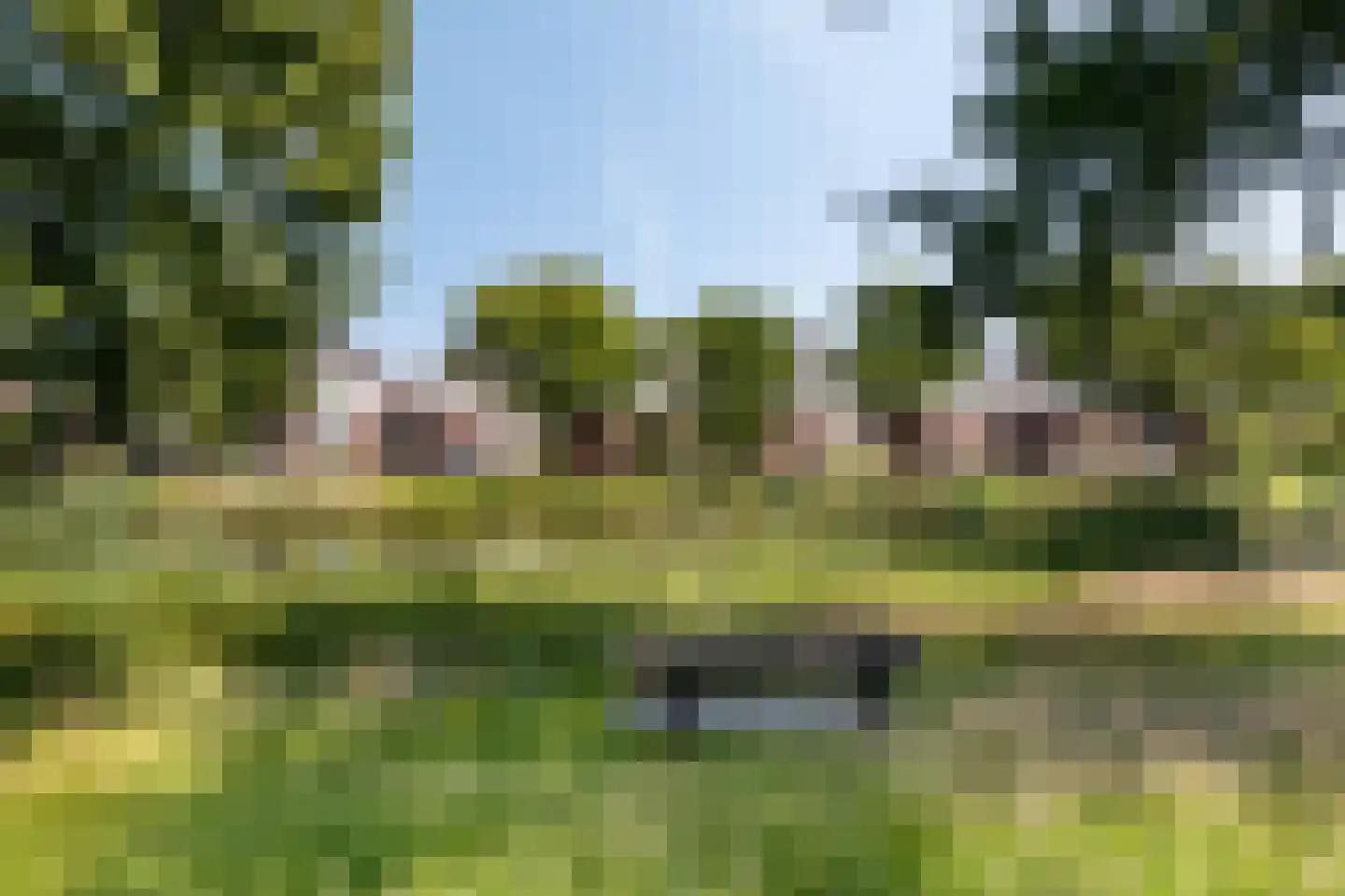 De Wouw 22 Gemert thumbnail 37