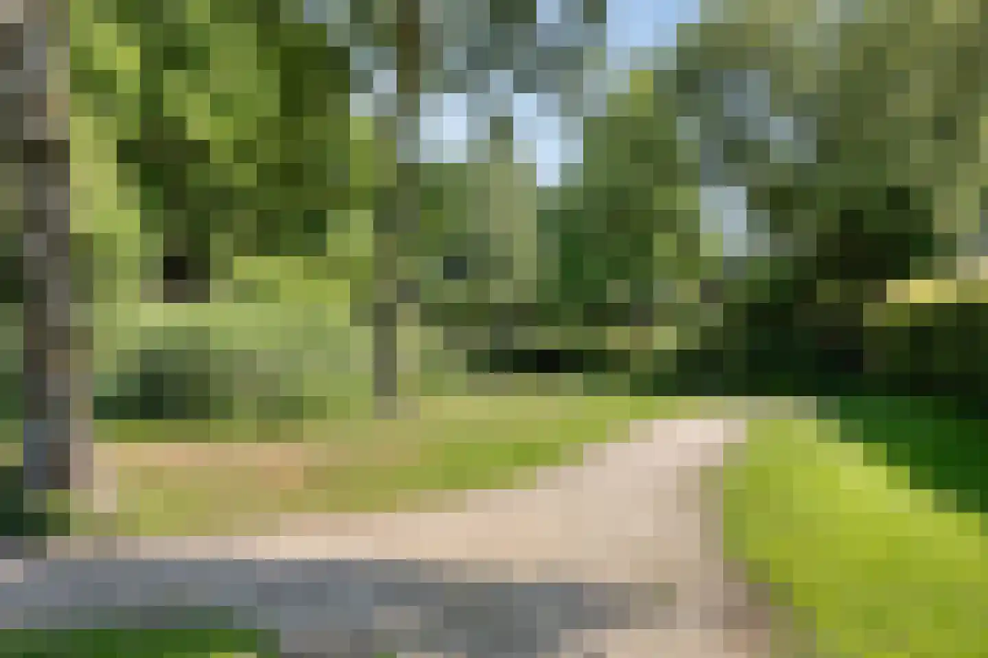 De Wouw 22 Gemert thumbnail 38