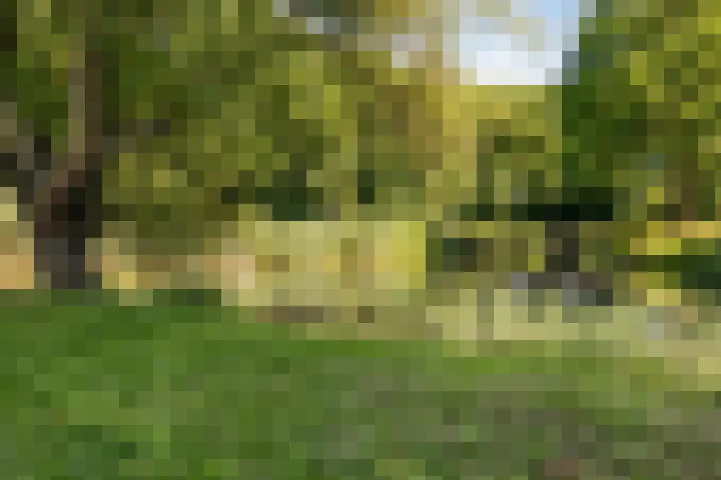 De Wouw 22 Gemert thumbnail 39