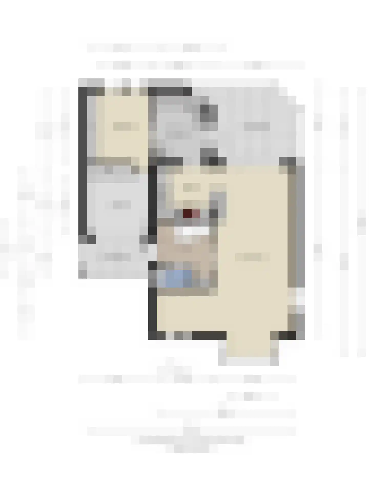 De Wouw 22 Gemert thumbnail 43