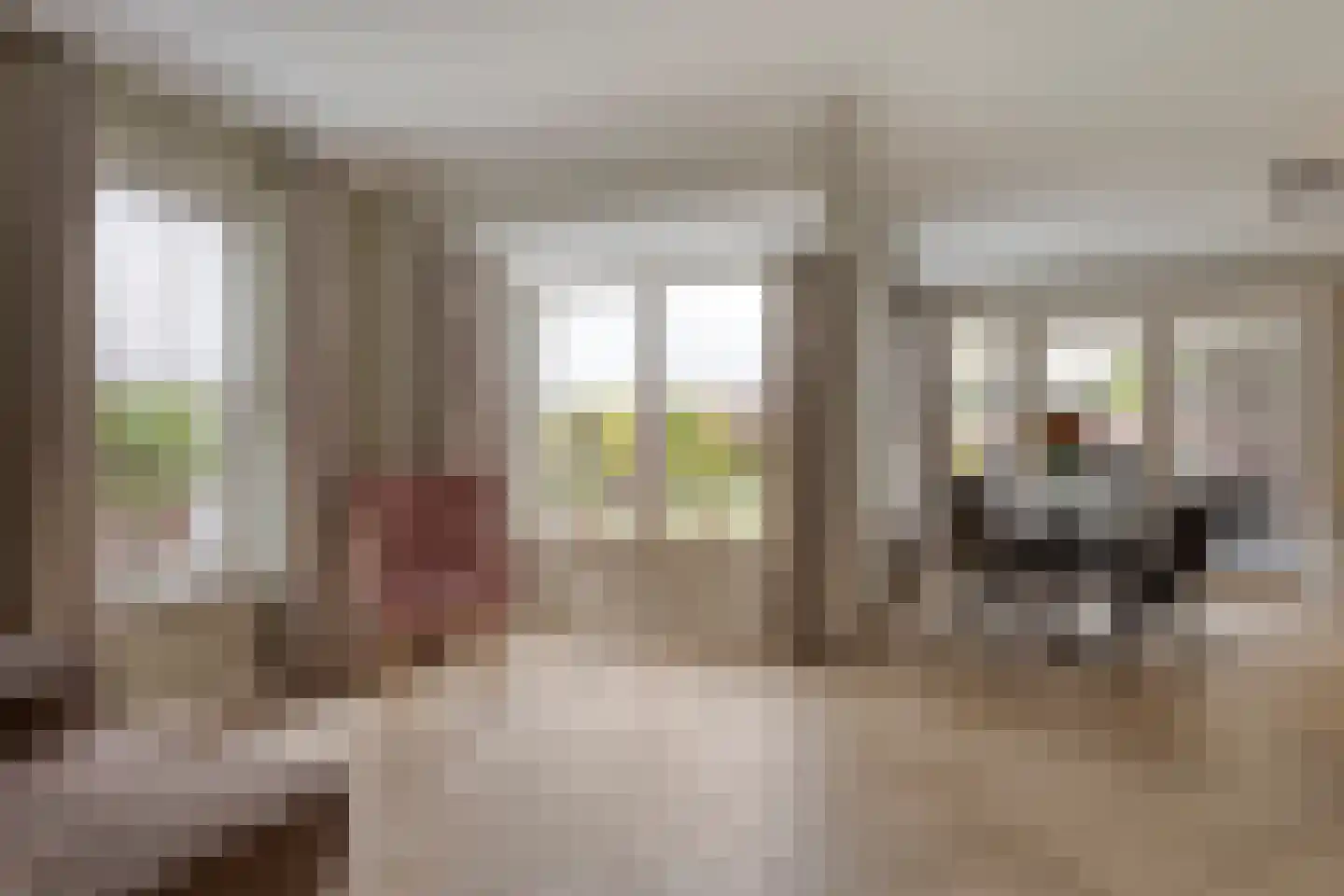 De Wouw 53 Gemert thumbnail 15