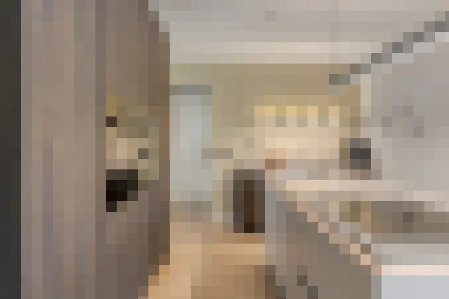 De Wouw 53 Gemert thumbnail 20