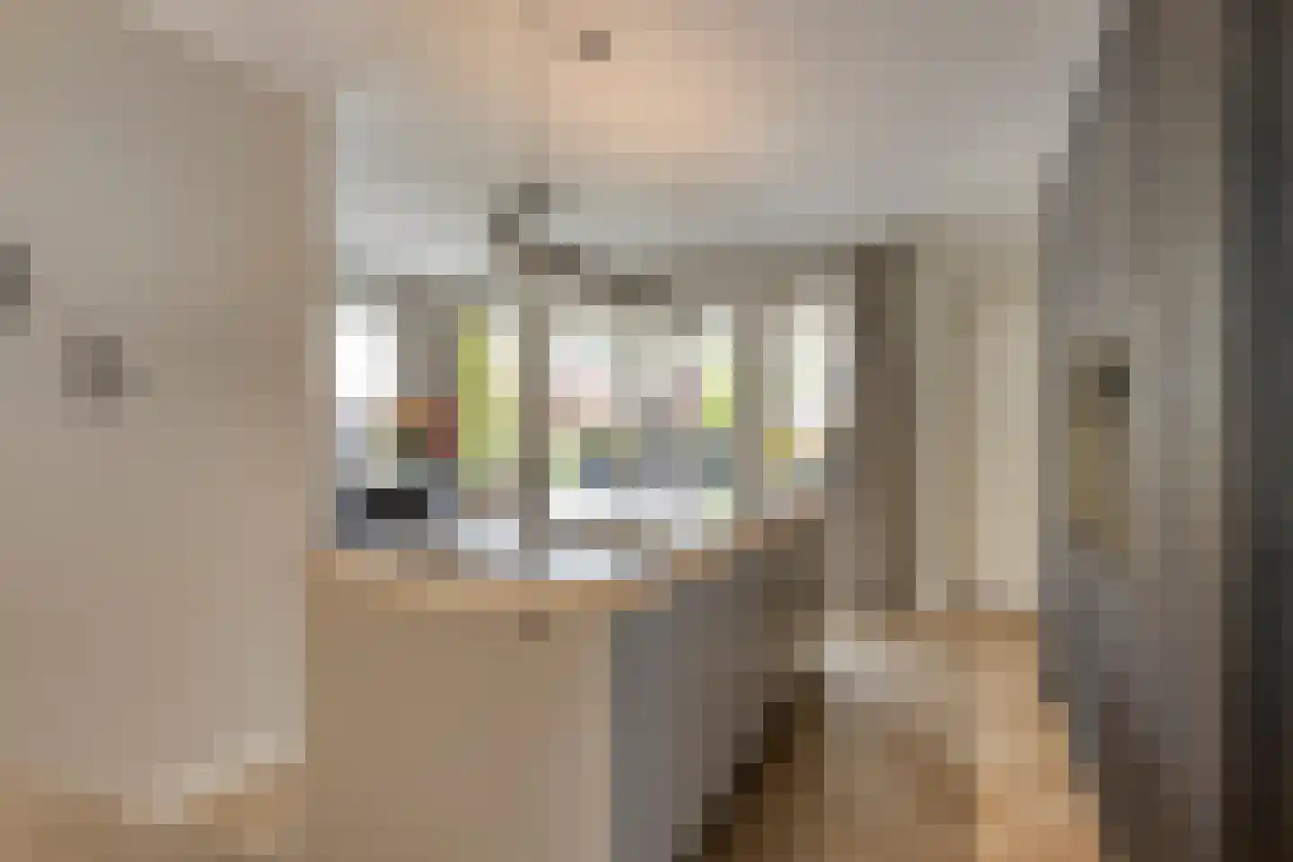 De Wouw 53 Gemert thumbnail 21