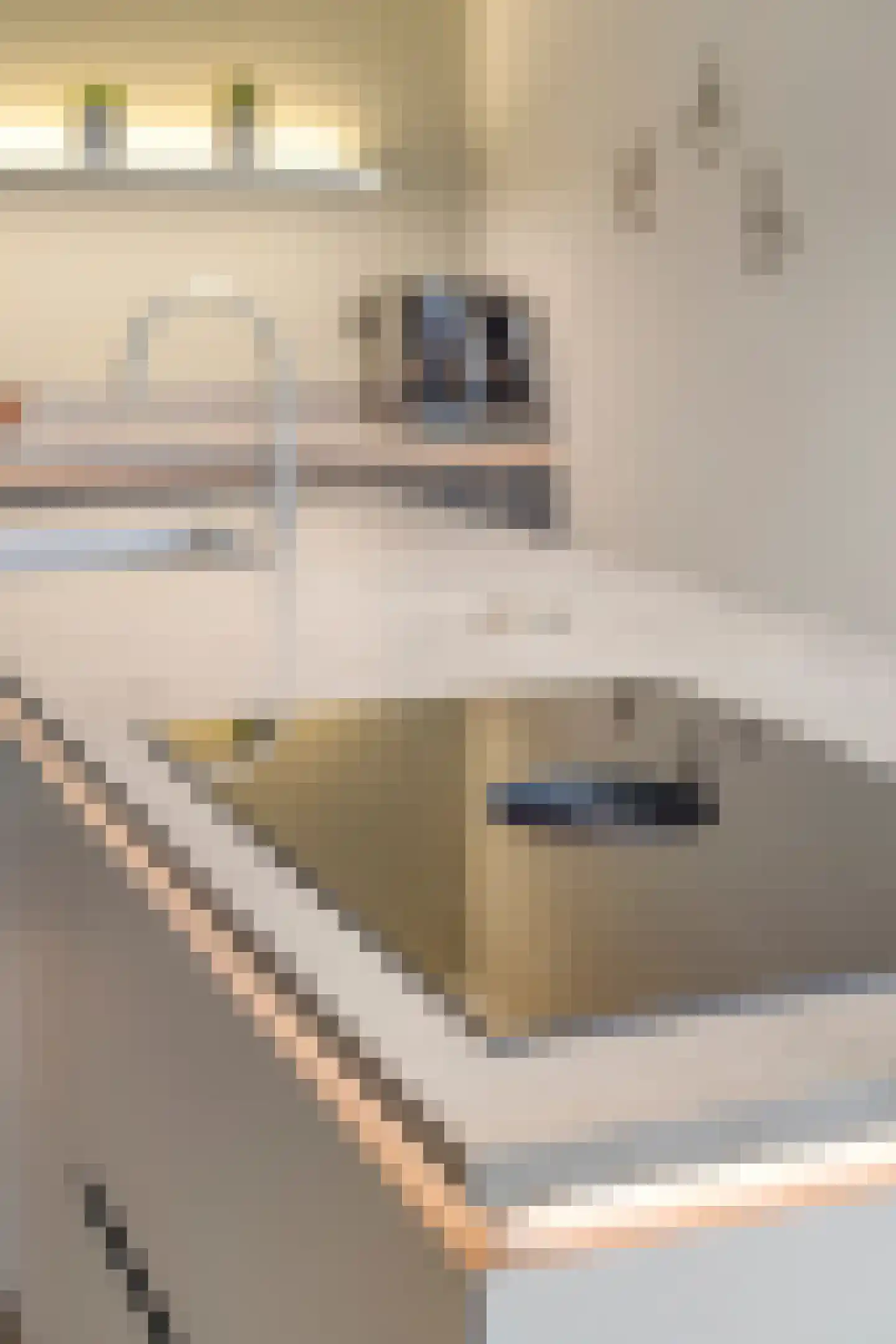 De Wouw 53 Gemert thumbnail 24