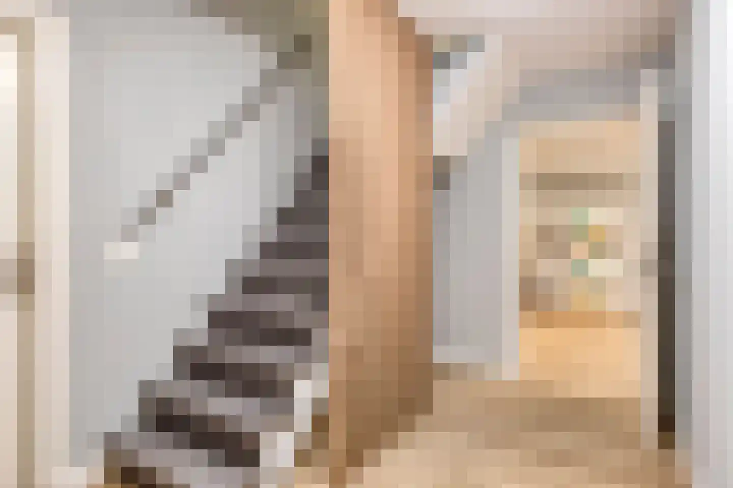 De Wouw 53 Gemert thumbnail 28