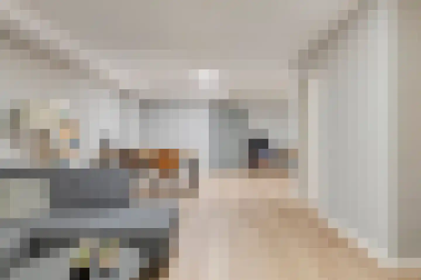 De Wouw 53 Gemert thumbnail 31
