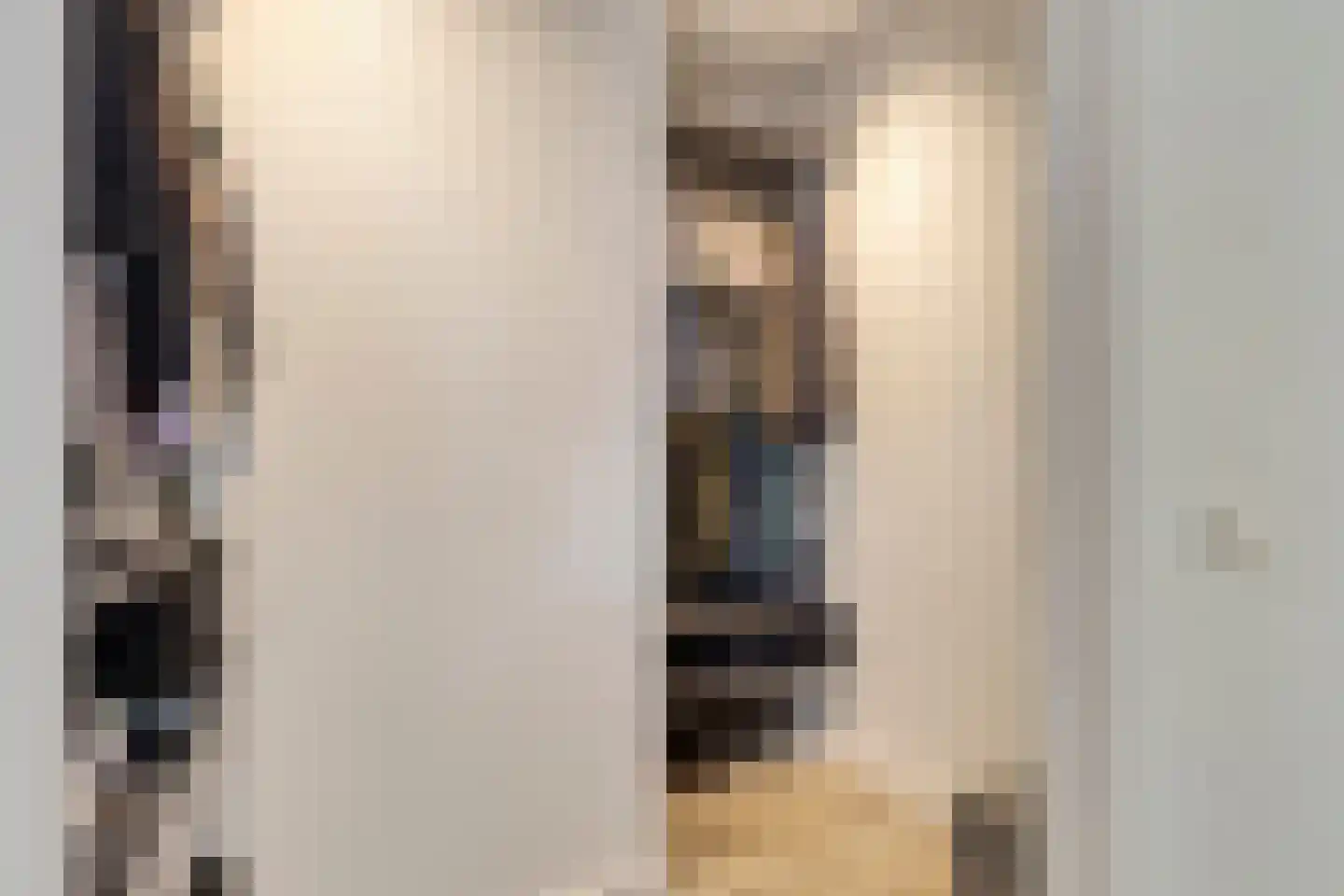 De Wouw 53 Gemert thumbnail 41