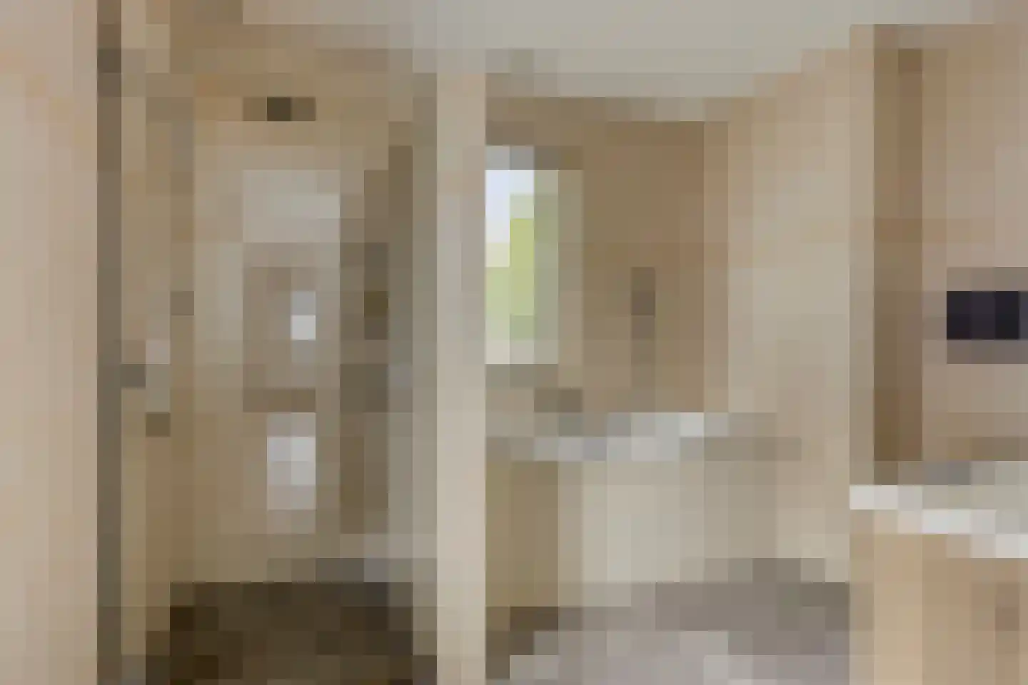 De Wouw 53 Gemert thumbnail 42