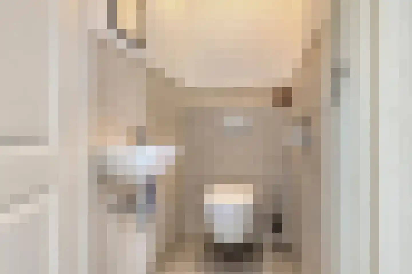 De Wouw 53 Gemert thumbnail 45