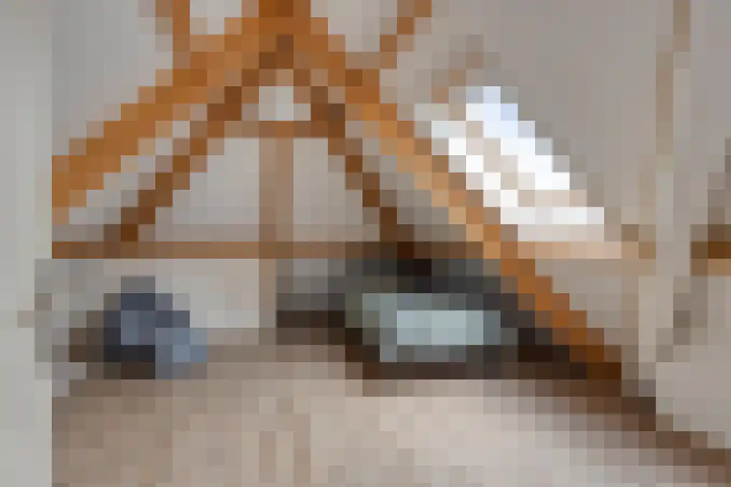 De Wouw 53 Gemert thumbnail 46
