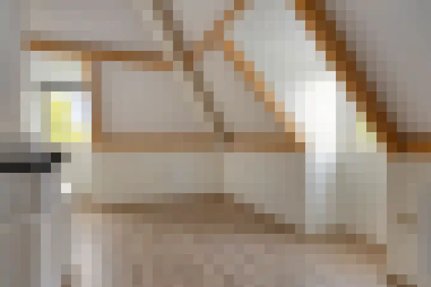 De Wouw 53 Gemert thumbnail 47