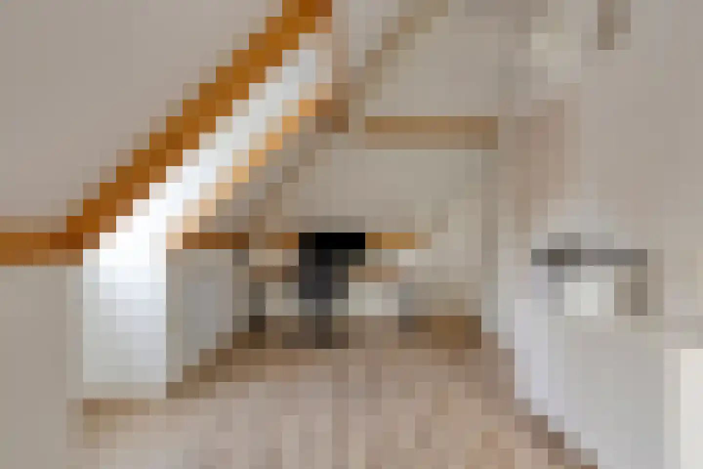 De Wouw 53 Gemert thumbnail 48
