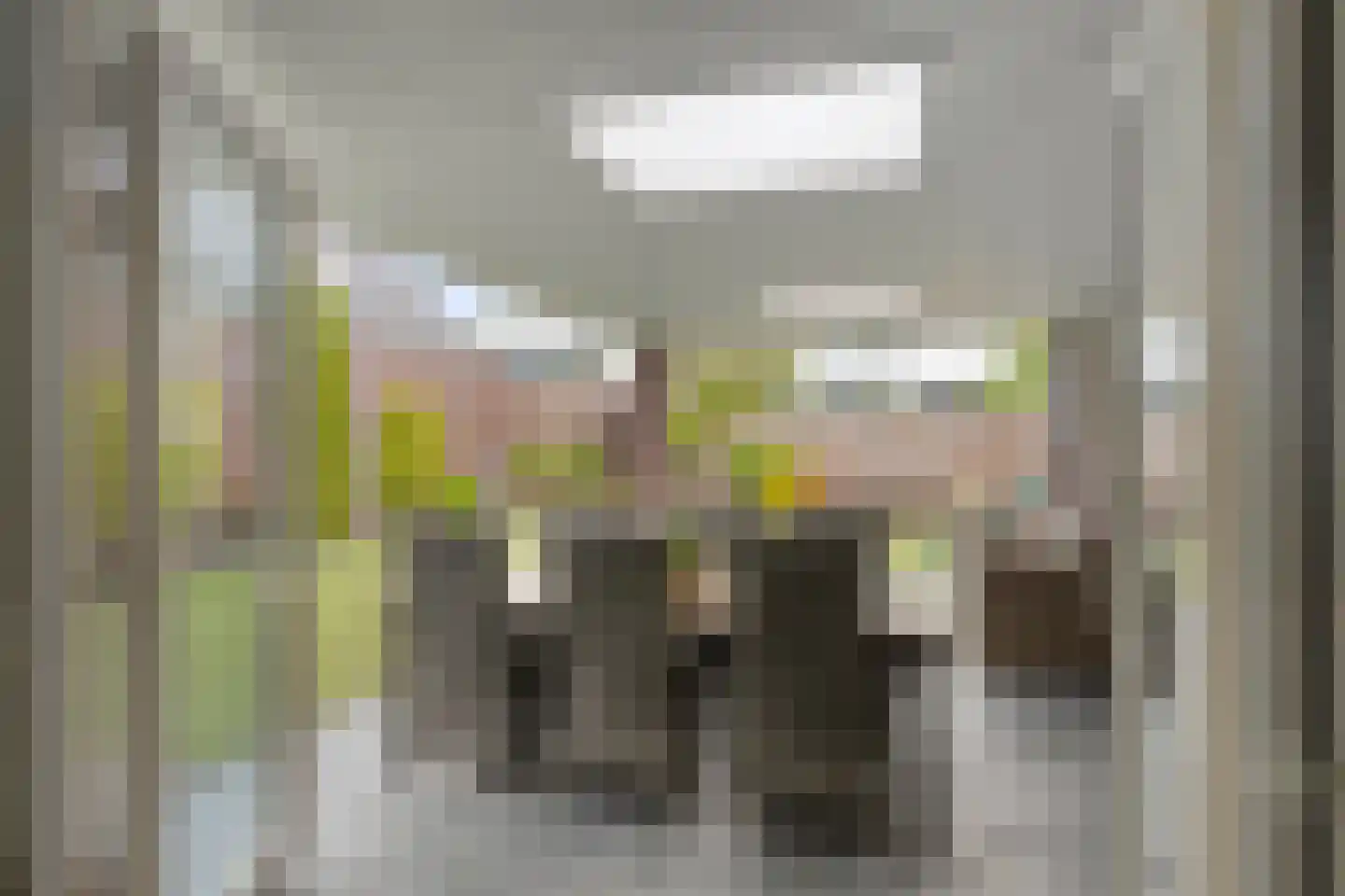 De Wouw 53 Gemert thumbnail 49