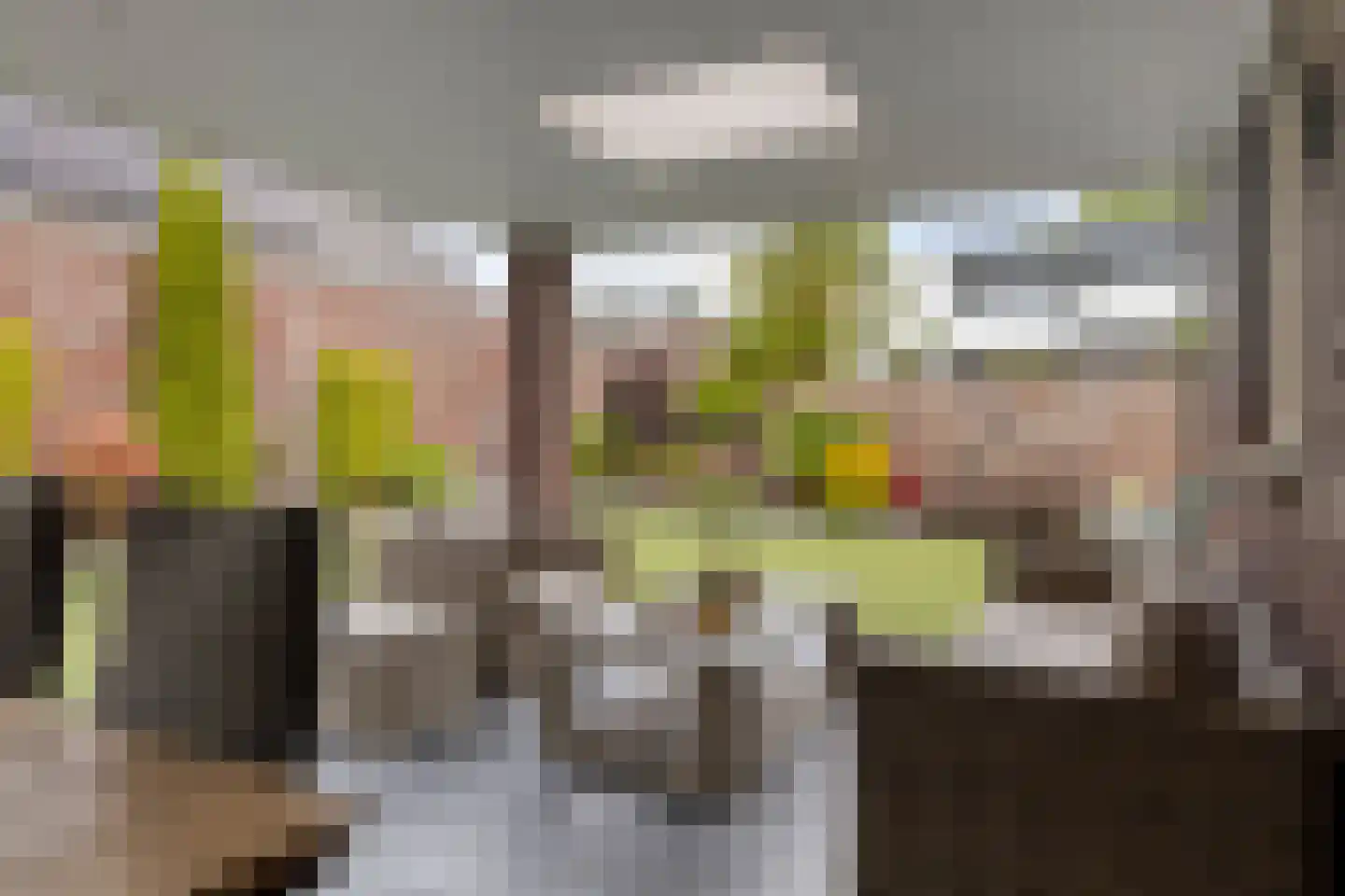 De Wouw 53 Gemert thumbnail 52