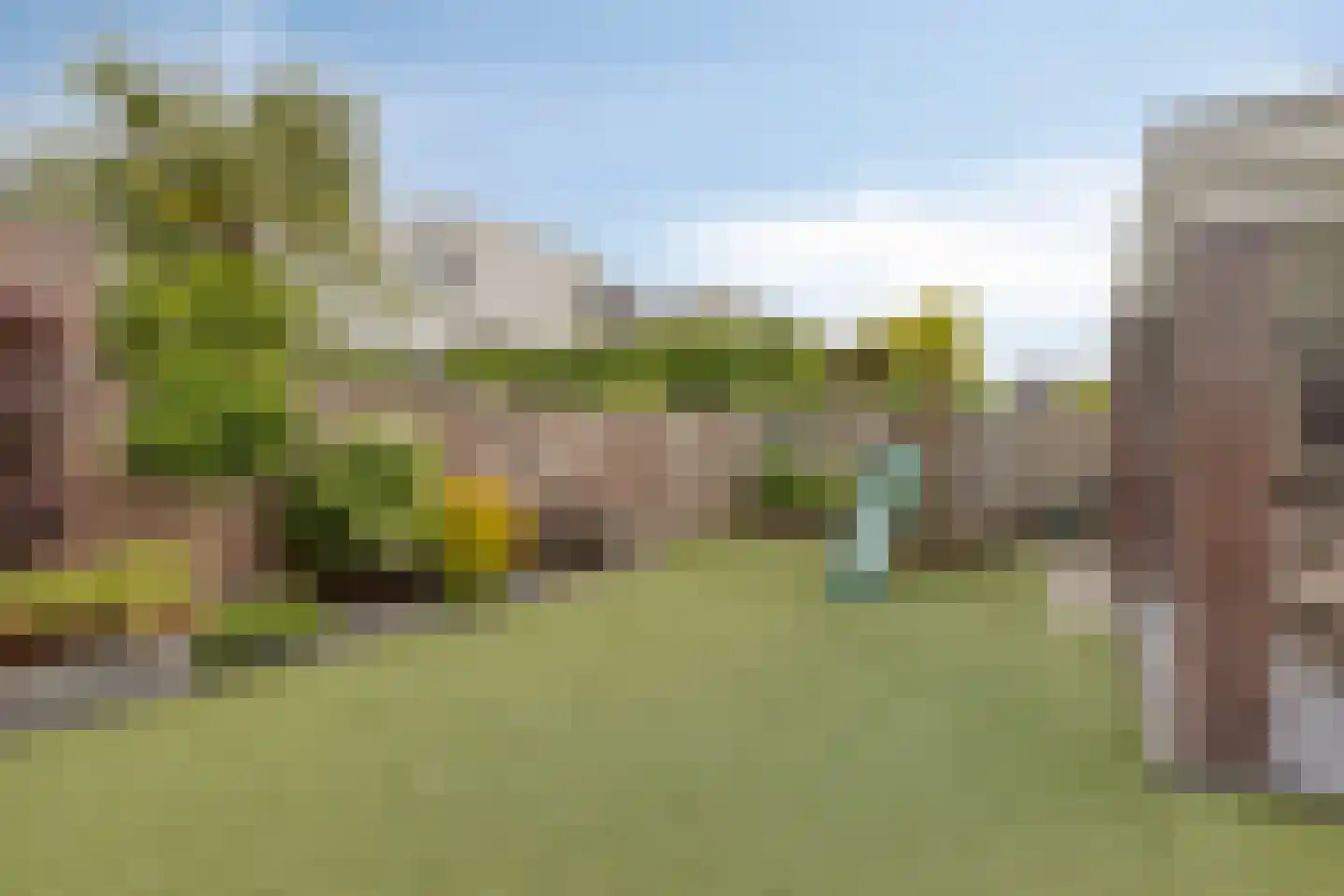 De Wouw 53 Gemert thumbnail 56