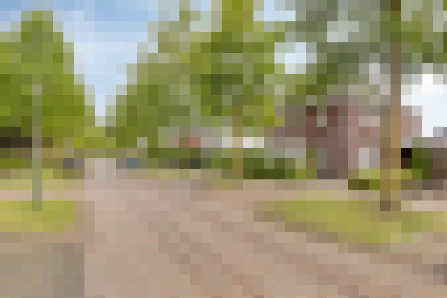De Wouw 53 Gemert thumbnail 58