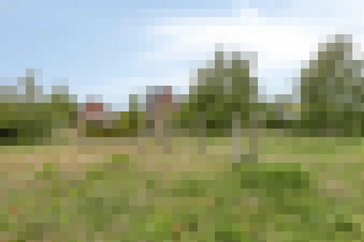 De Wouw 53 Gemert thumbnail 59