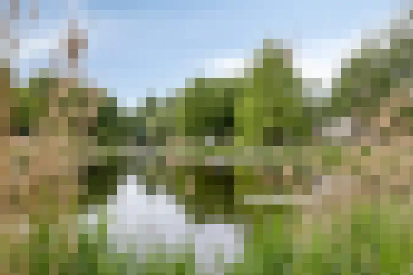 De Wouw 53 Gemert thumbnail 61
