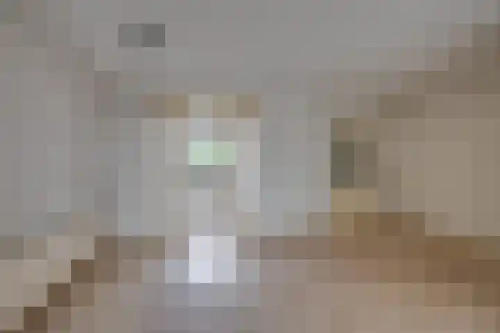 De Wouwerd 10 Udenhout thumbnail 11