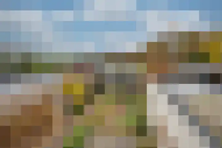 De Wouwerd 10 Udenhout thumbnail 28