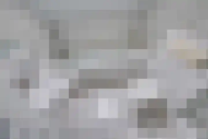 De Wouwerd 10 Udenhout thumbnail 30