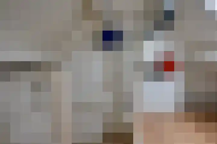 De Wouwerd 10 Udenhout thumbnail 34