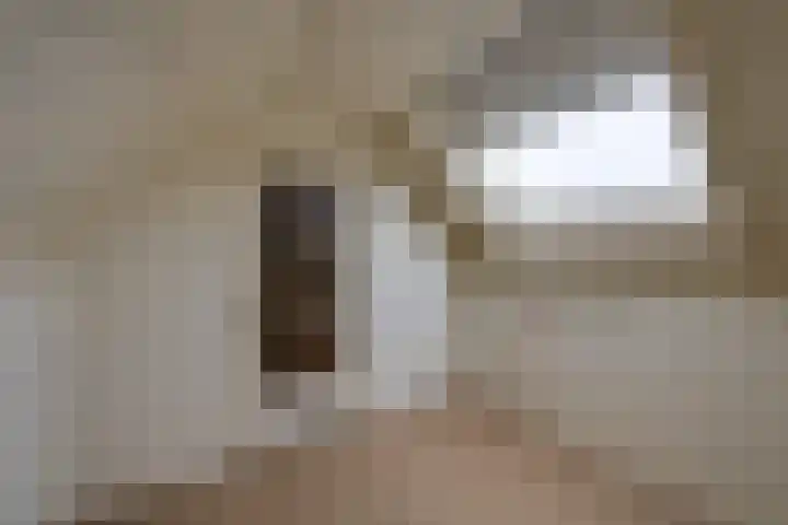 De Wouwerd 10 Udenhout thumbnail 37