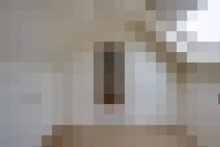 De Wouwerd 10 Udenhout thumbnail 39