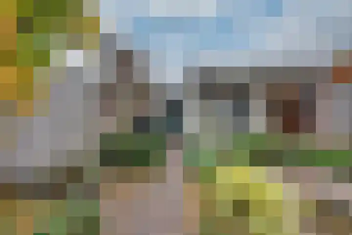 De Wouwerd 10 Udenhout thumbnail 41