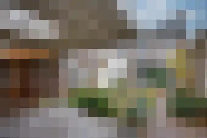 De Wouwerd 10 Udenhout thumbnail 42