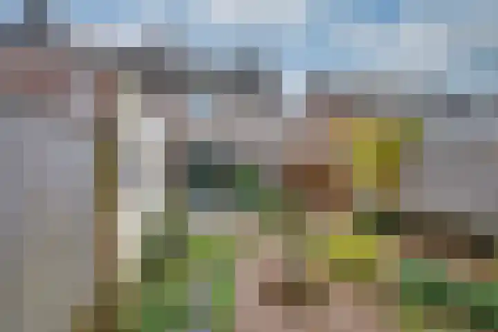 De Wouwerd 10 Udenhout thumbnail 43